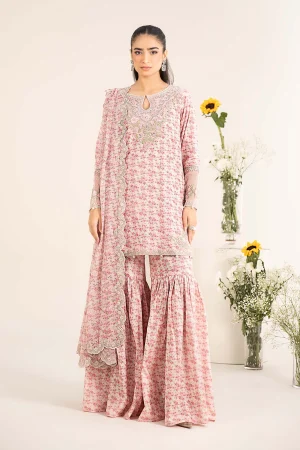 3 Piece Embroidered Lawn Suit DW EF25 50