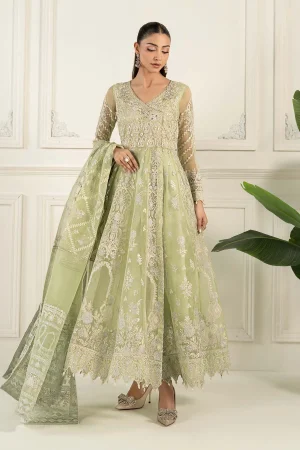 3 Piece Embroidered Organza Suit  SF EF25 44