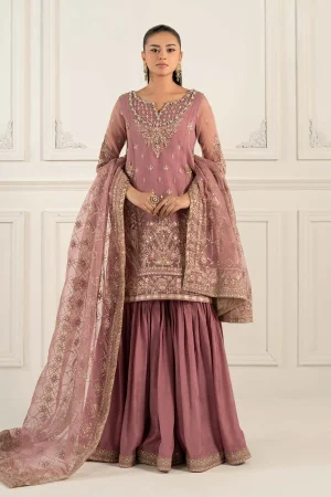3 Piece Embroidered Organza Suit  SF EF25 53