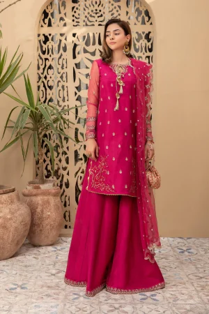 3 Piece Embroidered Suit SF EF21 07R1