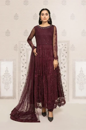 3 Piece Embroidered Suit  SF EF22 03R1